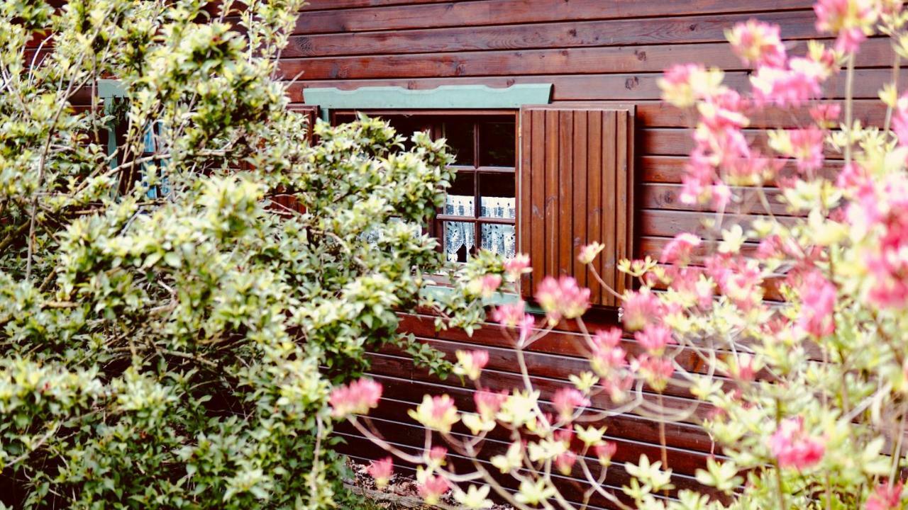 Forsthaus Luchsenburg Otel Ohorn Dış mekan fotoğraf